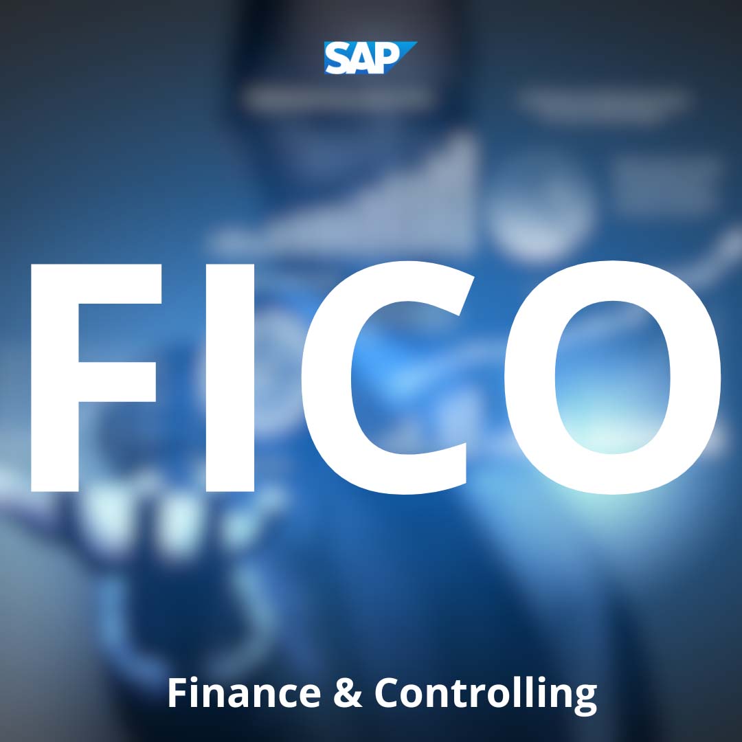 SAP FICO | Road To Expert