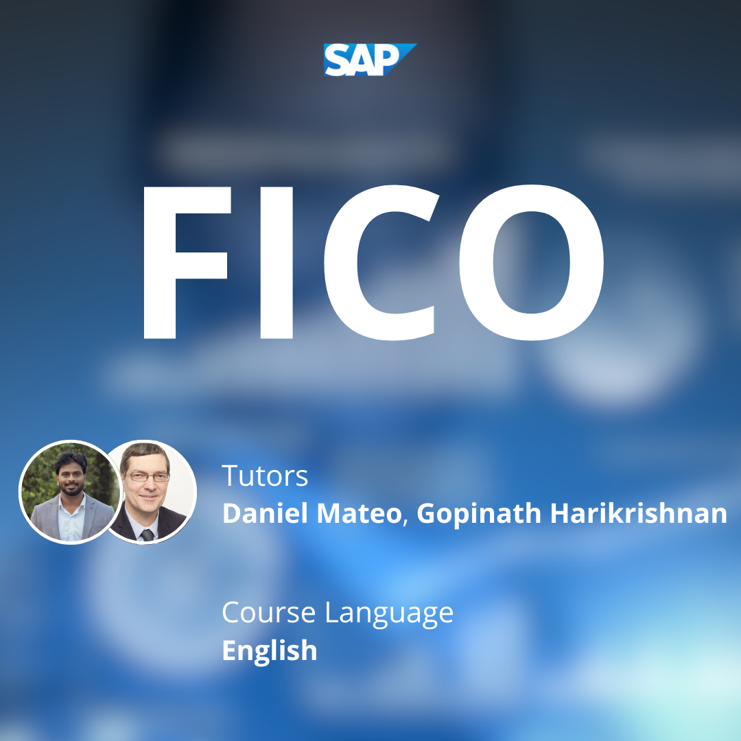 Two SAP FICO experts delivering comprehensive training on financial and controlling modules.