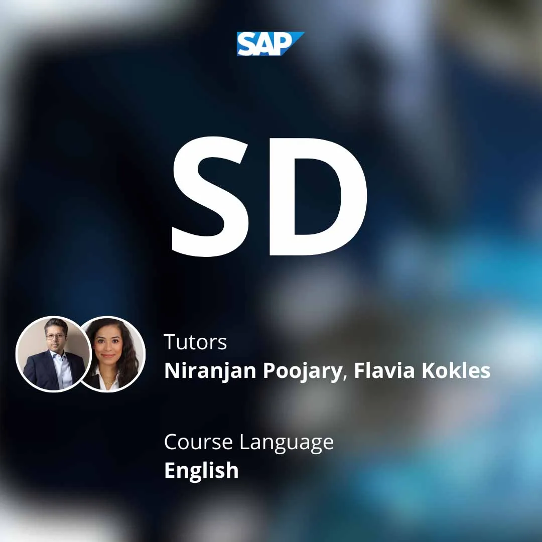 Comprehensive SAP SD training for junior consultants led by two seasoned experts.